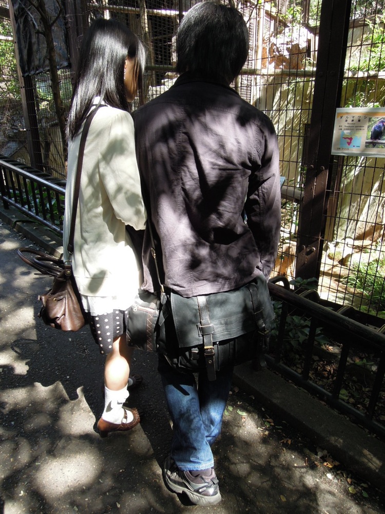 Zoo de Ueno: un beau spécimen porteur de chaussette à petite noeuds