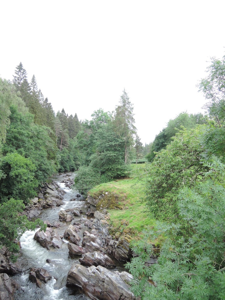 image aléatoire 6
